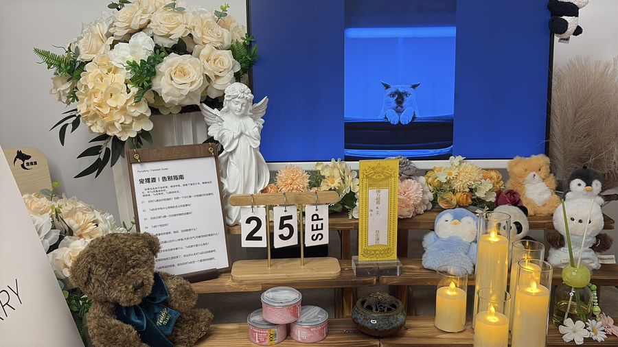上海宠物遗体上门接运全流程:冷链运输与安全细节